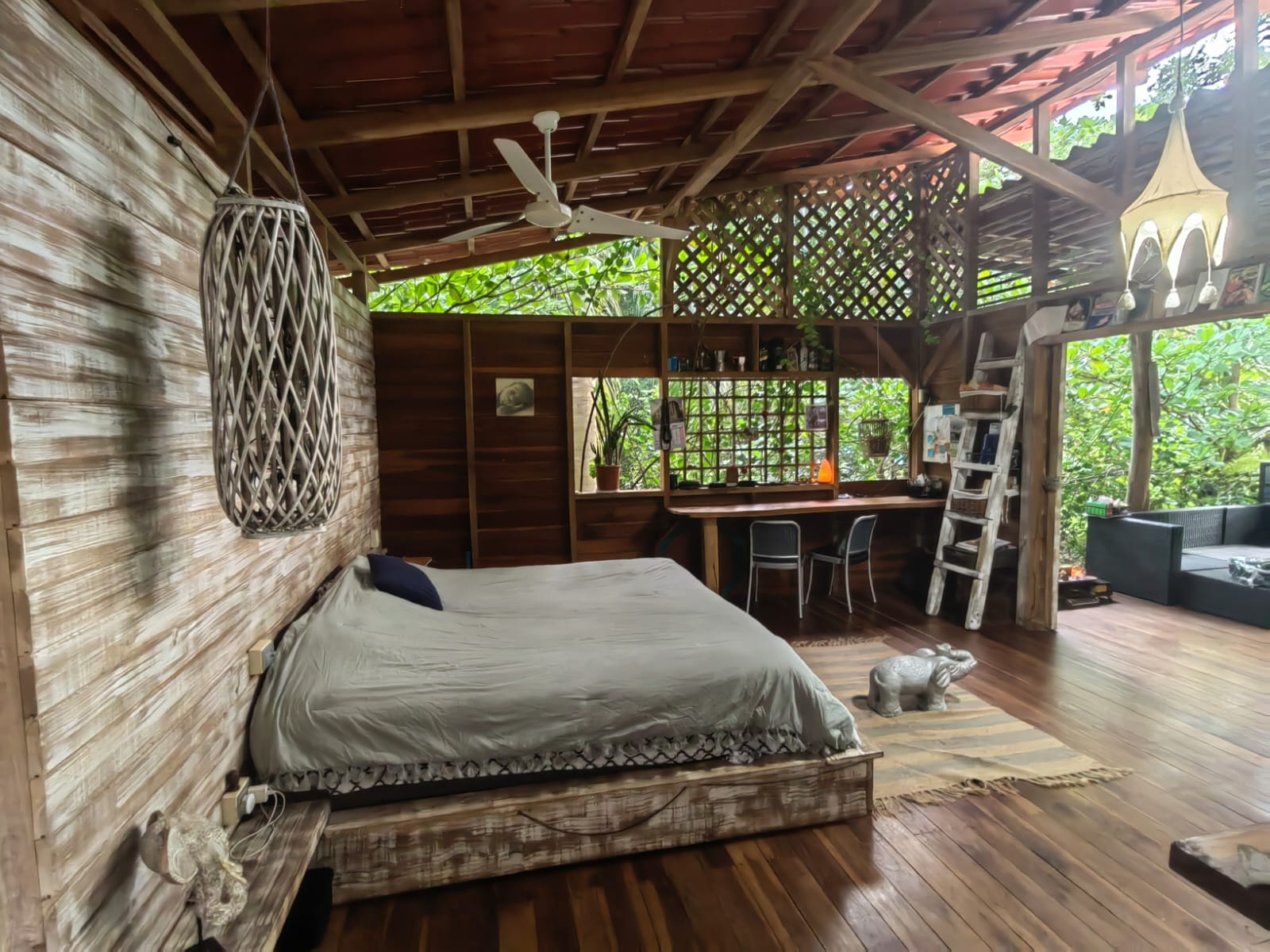 480803354_1056718969833273_4434527641595498263_n