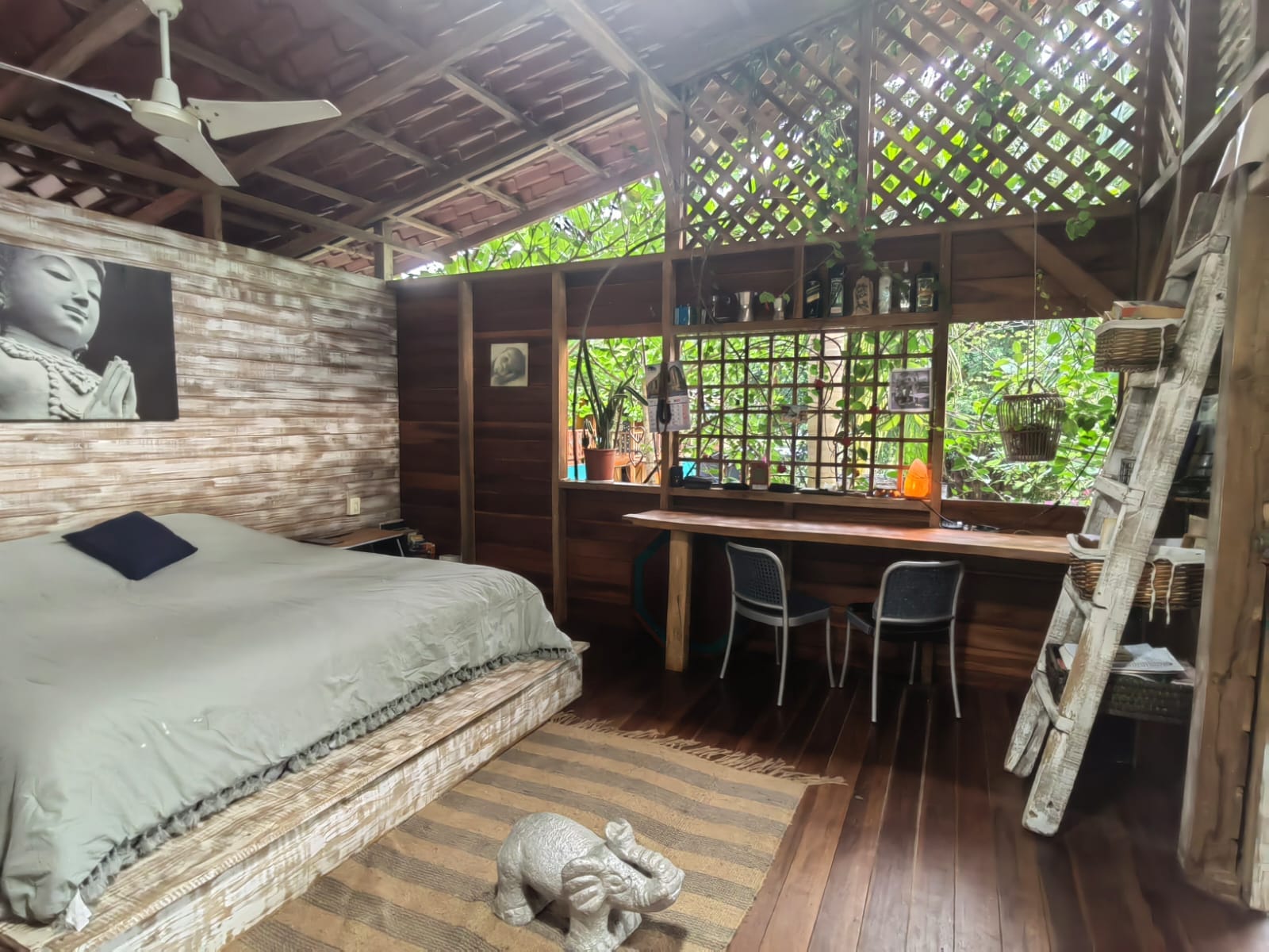 480813558_1056719006499936_4062511000223808676_n