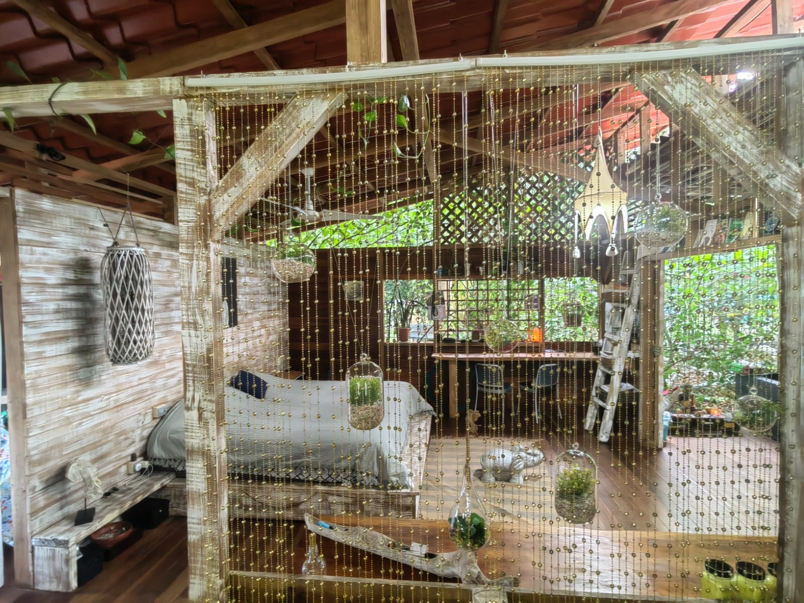 481304192_1056718936499943_7127246521069355734_n